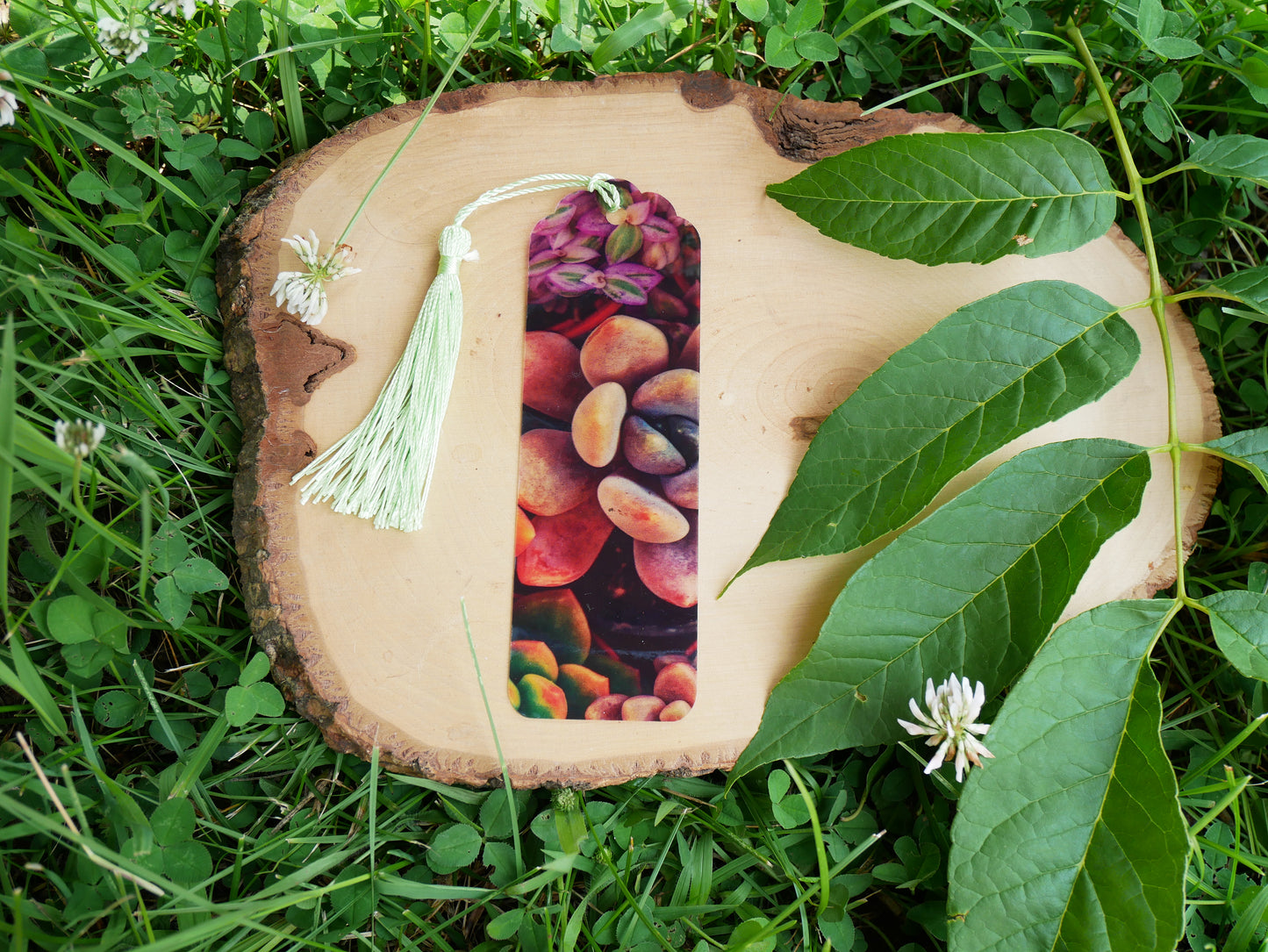 Succulent Bookmark