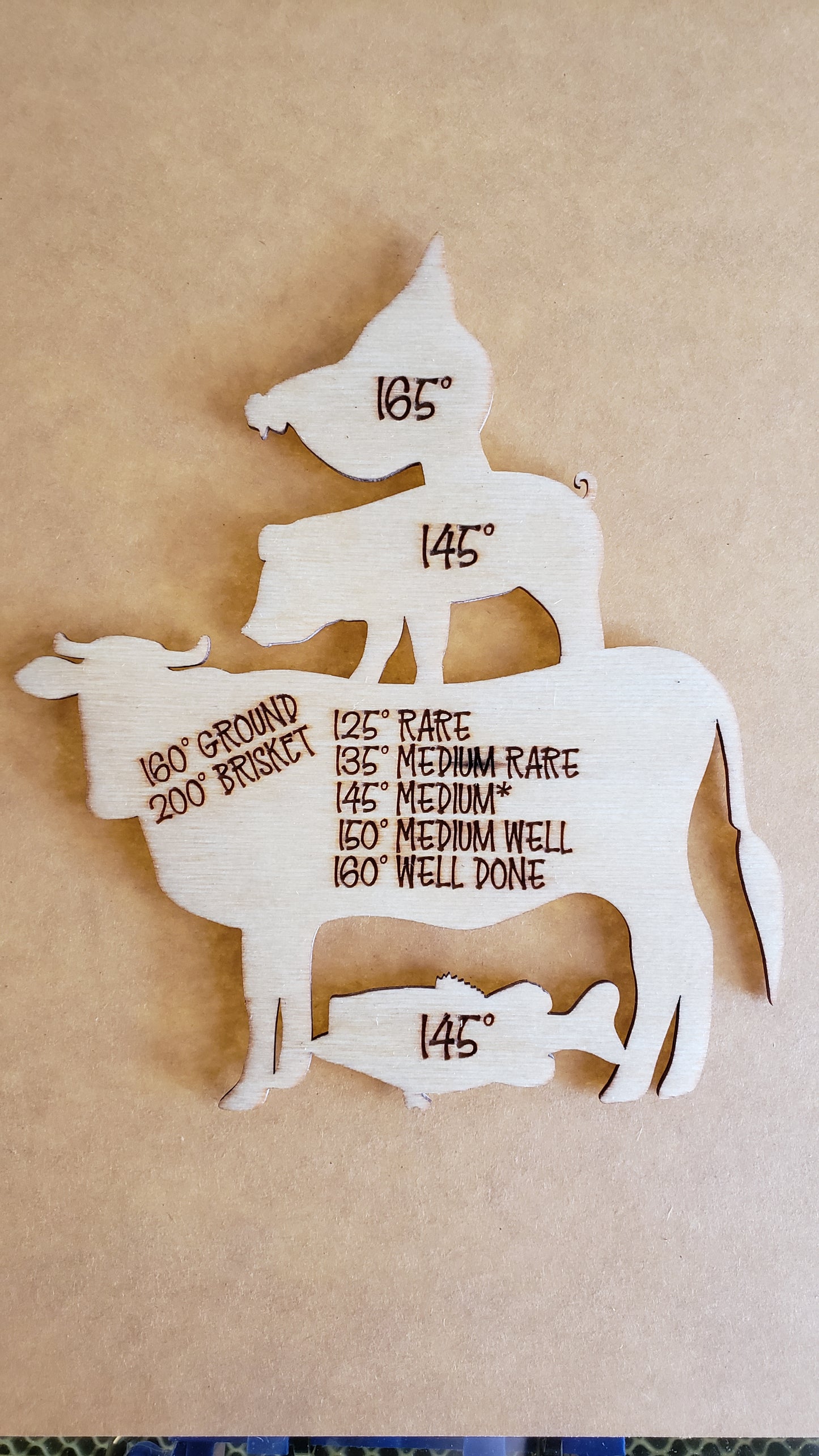 Imperfect Meat Temperature Chart Magnet