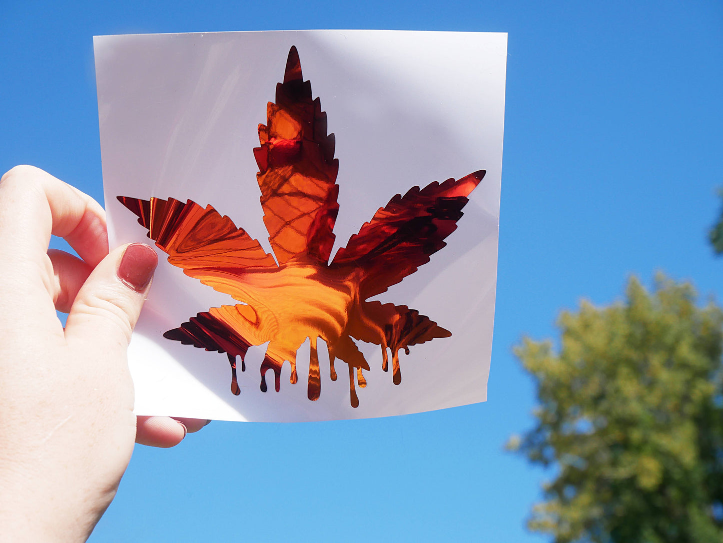 Marijuana Weed Dripping Holographic Sticker Decal